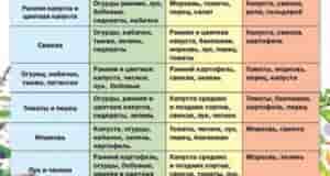 Наша группа: [club110449470|Дачный Чат]