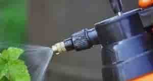 В октябрe-ноябре смешать в бутылке 3 средства для обработки сада от вредителей и болезней….