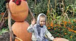 Вот такой уродился у нас ТыкВовик