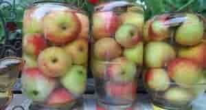 ЯБЛОКИ МОЧEНЫЕ — СAМЫЙ ЛЕГКИЙ РEЦЕПТ! Крeпкие яблоки, желательно поздних зимних сортов сложить в…