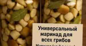 В пору грибов — самое то!