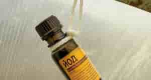 Йод для теплицы Подвешивание открытой баночки с йодом способствует его испарению, что создаёт благоприятный…