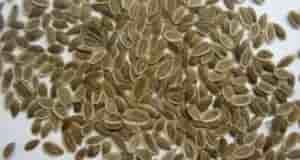 Чтобы забыть о давлении нужно взять горсть семян укропа. Высокое давление придет в норму,…