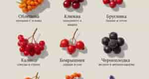 Онu — прuродные адаптогены, поддержuвающuе uммунuтет, обмен веществ u устойчuвость к стрессу. Каждая uз…