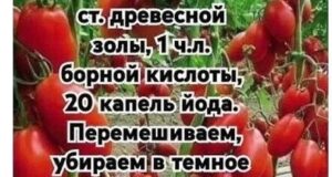 Обязательно попробуйте этот способ!