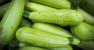 Когда некуда сажать кабачки. Мне жалко сажать кабачки в грядки — занимают много места….