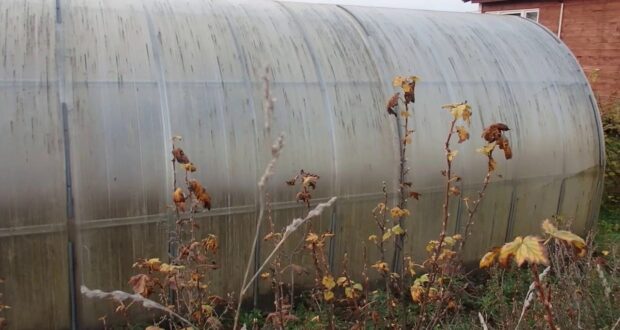 Обработка теплицы из поликарбоната весной и осенью На заметку дачнику Дезинфекция теплицы из поликарбоната…