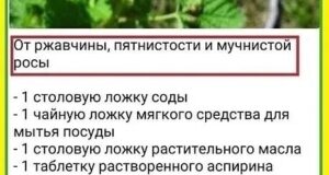 Забирайте пригодится