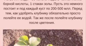 Мало ли кто не знает