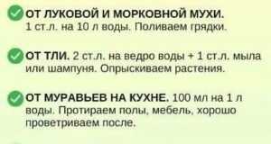 Берём на заметку!