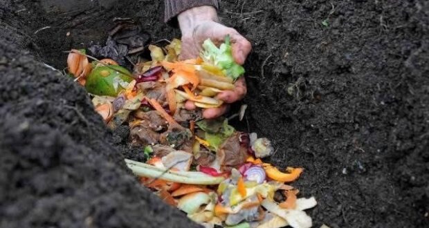 Не выбрасывайте пищевые отходы — это отличное удобрение для сада Даже зимой я не…