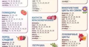 Планируйте садовый сезон с умом: календарь оптимальных сроков посадки