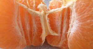 Врачи предупреждают: злоупотребление мандаринами перед праздниками опасно для здоровья желудка. Чтобы избежать риска развития…