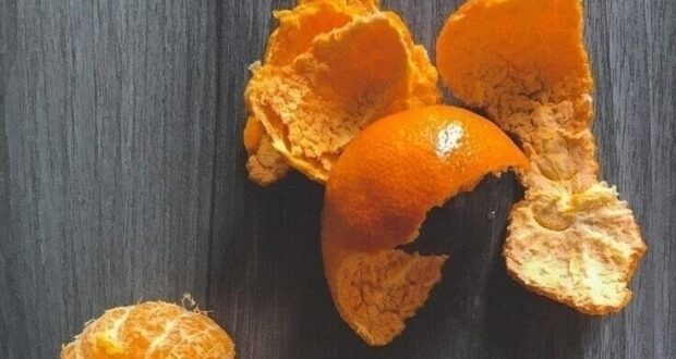 Мандариновая кожура — это не отходы, а готовое сырьё для эффективного органического удобрения. В…