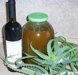 Алое, мед, кагор — эта смесь “поднимет” даже тяжелобольного. Одна очень приятная, энергичная старушка…