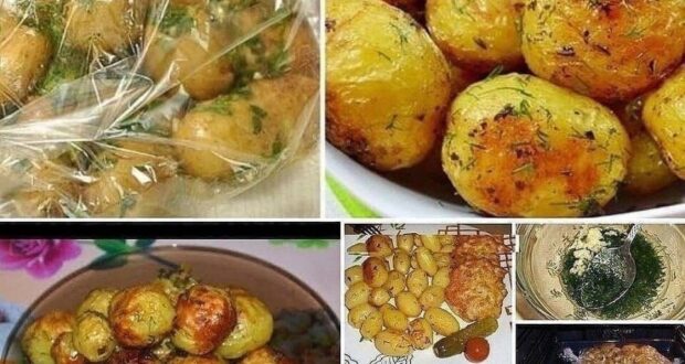 КАРТОШЕЧКА В РУКАВЕ Ингредиенты: — 1 кг картофеля (средний) — 2-3 зубка чеснока -…