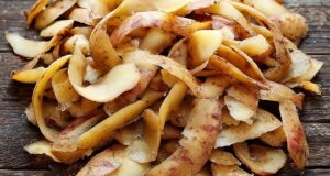 Домашние удобрения Если есть печка, не выбрасывайте картофельные очистки, а подсушивайте их на газете…