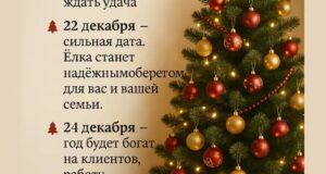 А вы когда собираетесь ставить елку?