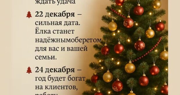 А вы когда собираетесь ставить елку?