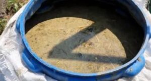 Про свежий навоз и перегной. Про удобрение из навоза расскажу, чему меня научила соседка…