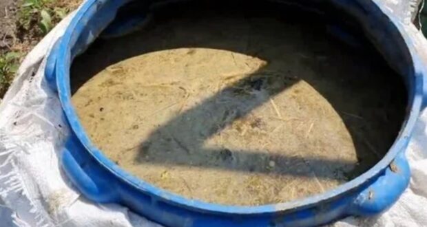 Про свежий навоз и перегной. Про удобрение из навоза расскажу, чему меня научила соседка…