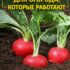 ЛУЧШИЕ ПОДКОРМКИ ДЛЯ ОГОРОДА, КОТОРЫЕ РАБОТАЮТ Девочки, делюсь своей подборкой простых подкормок для разных…