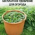 КРАПИВА — БЕСПЛАТНОЕ УДОБРЕНИЕ ДЛЯ ОГОРОДА Девочки, не выбрасывайте крапиву — это настоящая находка…