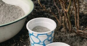 9 РАСТЕНИЙ, КОТОРЫЕ ЛЮБЯТ ЗОЛУ Девочки, зола — это мой must-have на участке! Натуральная,…