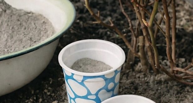 9 РАСТЕНИЙ, КОТОРЫЕ ЛЮБЯТ ЗОЛУ Девочки, зола — это мой must-have на участке! Натуральная,…