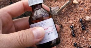 КАК Я ИЗБАВИЛАСЬ ОТ МУРАВЬЁВ ЗА 2 НЕДЕЛИ Девочки, делюсь способом, который реально спас…