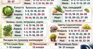 Пользуйтесь на здоровье!