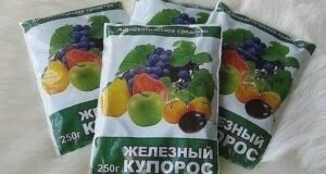 Железный купорос – дешевое средство для повышения плодоношения и борьбы с вредителями, от поражения…