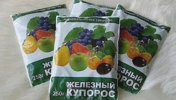 Железный купорос – дешевое средство для повышения плодоношения и борьбы с вредителями, от поражения…