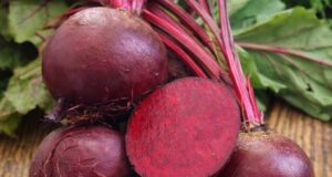 ЛУЧШИЕ СОРТА СВЁКЛЫ НА 2026 ГОД Я для себя давно решила: лучше сажать не…