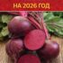 ЛУЧШИЕ СОРТА СВЁКЛЫ НА 2026 ГОД Я для себя давно решила: лучше сажать не…