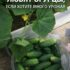 ЧТО ЛЮБЯТ ОГУРЦЫ: 7 СЕКРЕТОВ БОГАТОГО УРОЖАЯ Если хотите, чтобы огурцы росли крепкими, хрустели…