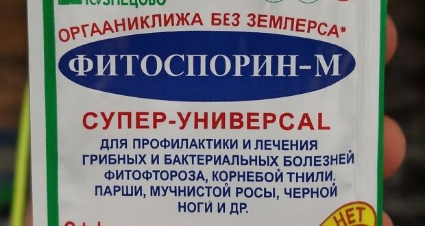 Почему «Фитоспорин» не работает — причина в типичной ошибке, которую совершают многие дачники. Фитоспорин…