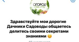 Всем здравствуйте ! Мы создали для вас чат где вы можете общаться ,присоединяетесь к…