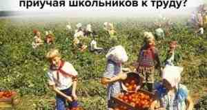 Ваше мнение