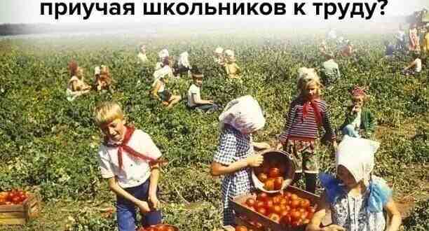 Ваше мнение