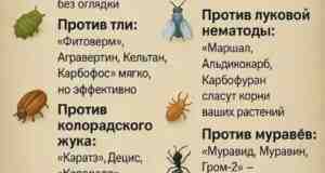 Паразиты в огороде? Победа будет за вами