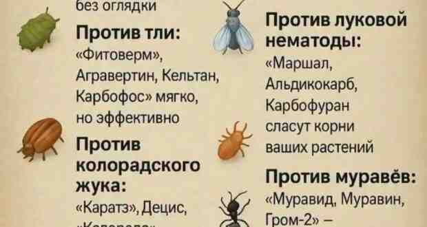Паразиты в огороде? Победа будет за вами